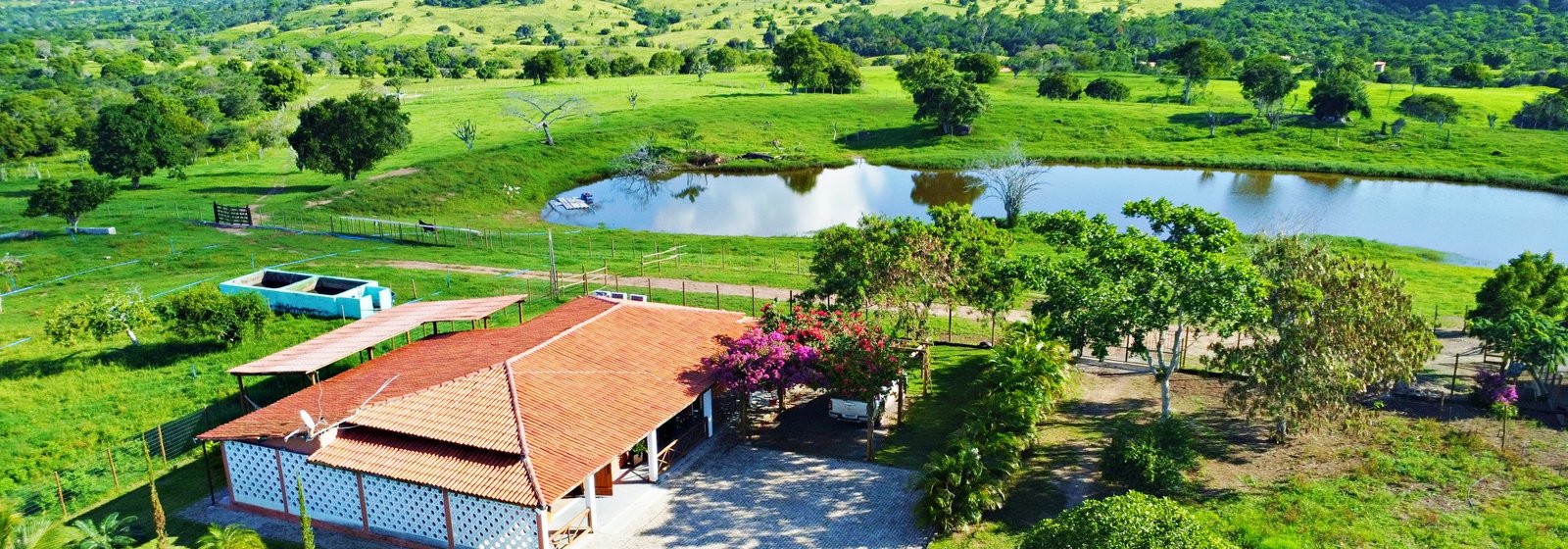 Fazenda com 352 tarefas – infra completa -Barragem de pedra do Cavalo- Antônio Cardoso- Bahia