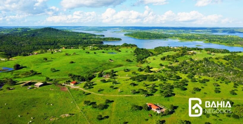 Fazenda com 352 tarefas – infra completa -Barragem de pedra do Cavalo- Antônio Cardoso- Bahia