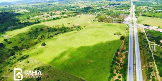 Terreno plano com 275.000m² – Conceição do Jacuípe – Bahia
